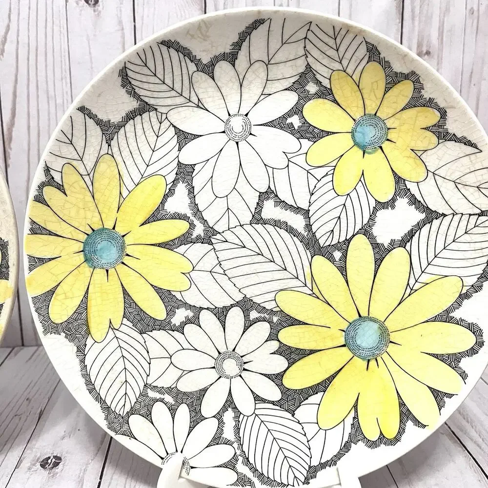 Vintage MCM Boho Nikko Splendor Daisy Plates Kingstone Japan Cottagecore (2)